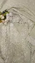 20260620_002245.webp